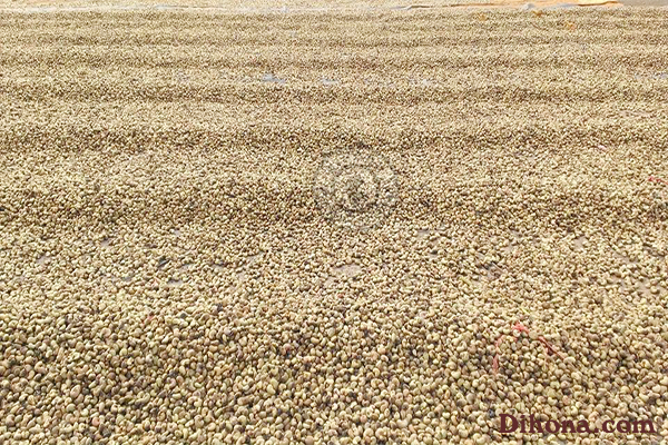 3 lý do nên mua hạt điều rang muối tại những nơi chuyên mua bán hạt điều