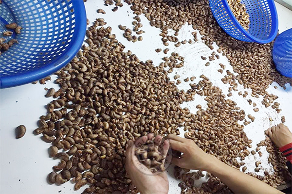 giá hạt điều rang muối Bình Phước gia-hat-dieu-rang-muoi-binh-phuoc