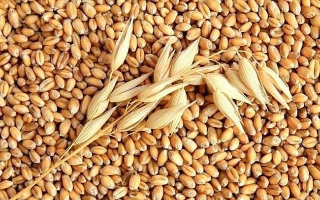 Hạt điều rang muối dihona Hạt điều rang muối dihona